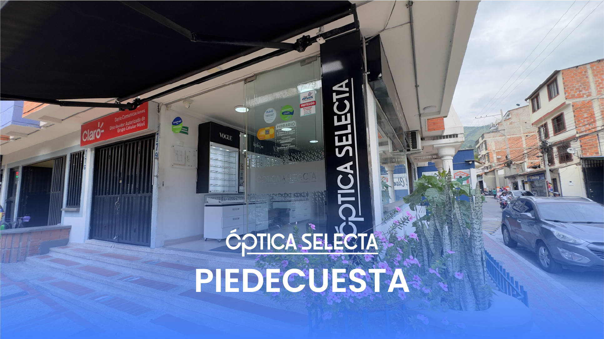 Sede 5